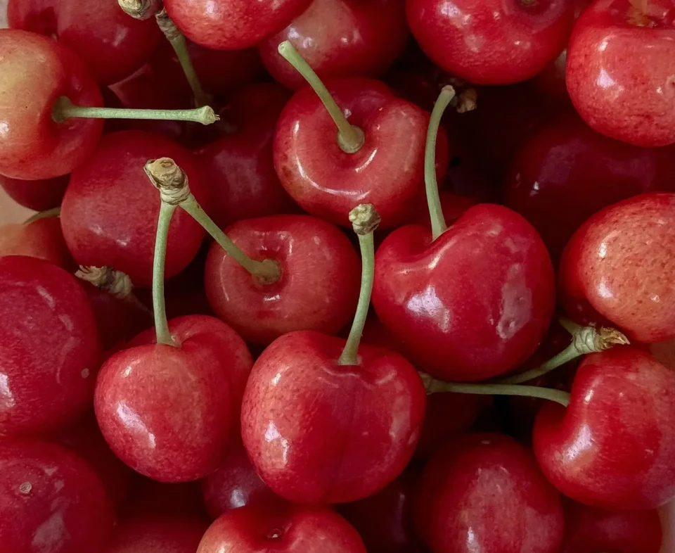 pexels-marina-endzhirgli-725723515-32586136